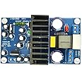 Q-BAIHE L15DSMD IRS2092S Mono Digital Amplifier Board w/Class D Finished amp Board