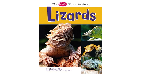 The Pebble First Guide To Lizards Pebble First Guides Pitts Zachary 9781429617109 Amazon Com Books