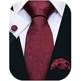 Barry.Wang Men Ties Paisley Woven Silk Necktie Set with Pocket Suqare Cufflinks Formal