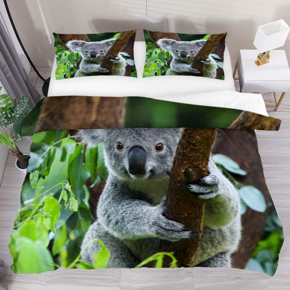 koala comforter