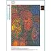 certainPL DIY 5D Diamond Painting Kits, Full Drill Crystal Rhinestone Diamond Embroidery Paintings Pictures, Household Arts Craft for Adults - African Women (C)