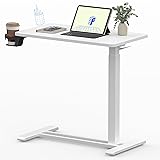 FLEXISPOT Mobile Standing Desk with Wheels