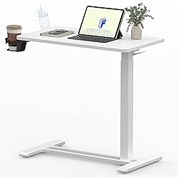 FLEXISPOT Mobile Standing Desk with Wheels