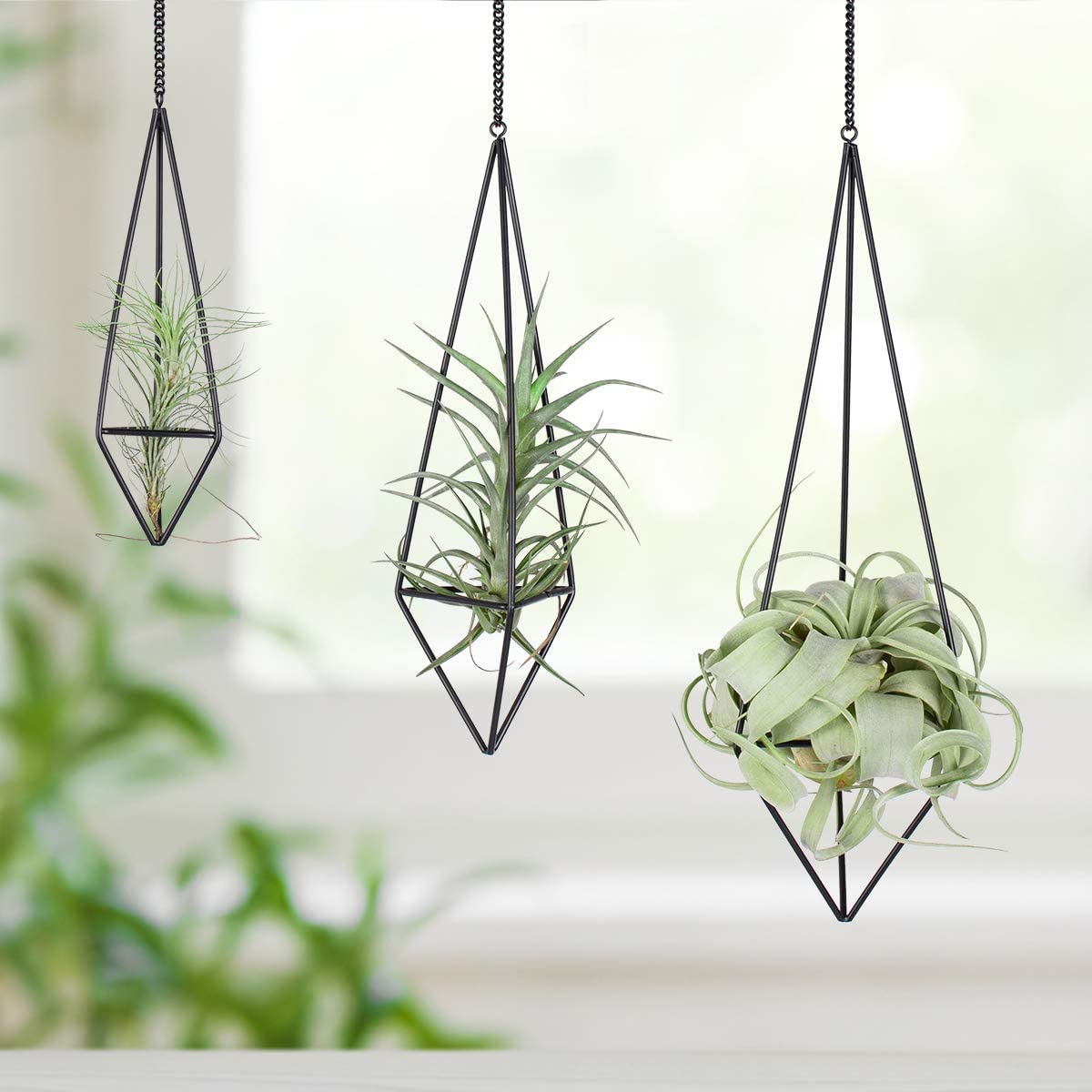 Ecosides Sets of 3 Geometric Metal Air Plant Holder Black,Himmeli for Tillandsia,Hanging Planter Basket Air Plant Display with Chains