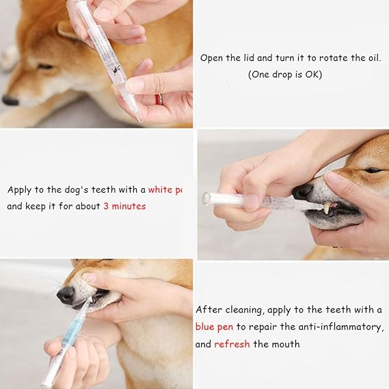 dog teeth cleaning kit amazon