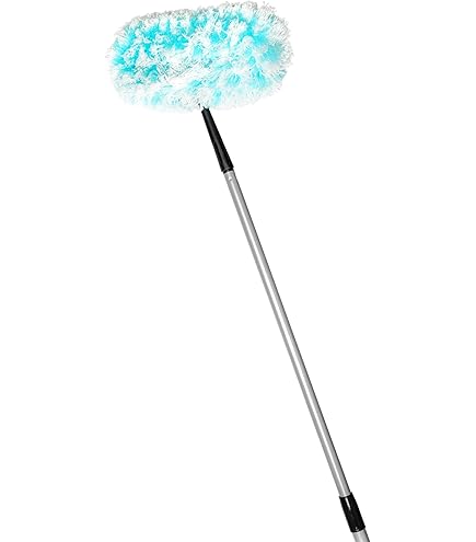 Amazon.com: Fuller Brush 56040 Large Surface Duster with Handle