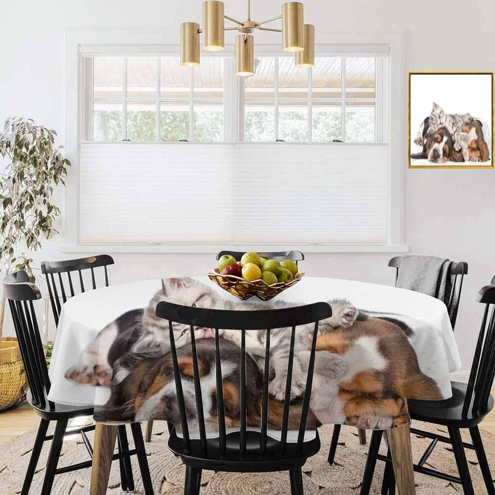 shirlyhome Funny Tablecloth Washable Newborn Kitten Lying on The Puppies Basset Hound and Licks Sleeping Cuddle Picture Table Cover for Dining Room and Party Multicolor (Diameter 70")