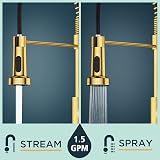 FORIOUS Brushed Gold Kitchen Tap with 360° Swivel High Arc Dual Spray view 3