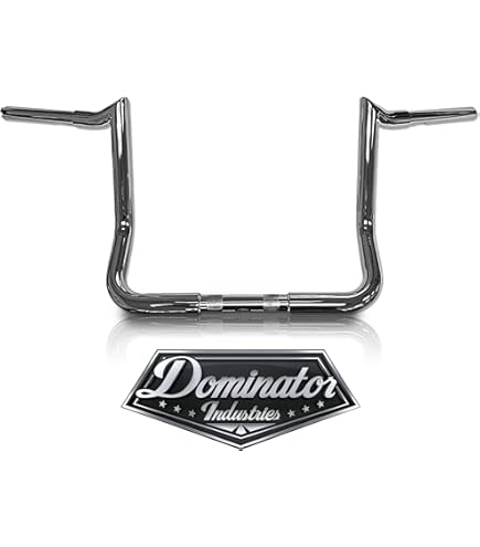 61rOnuv9xHL._AC_UL495_SR435,