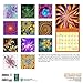 Orange Circle Studio 16-Month 2017 Wall Calendar, Fractals (51189)