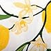 DII Lemon Bliss Tabletop Collection, Napkin Set, 6 Piece