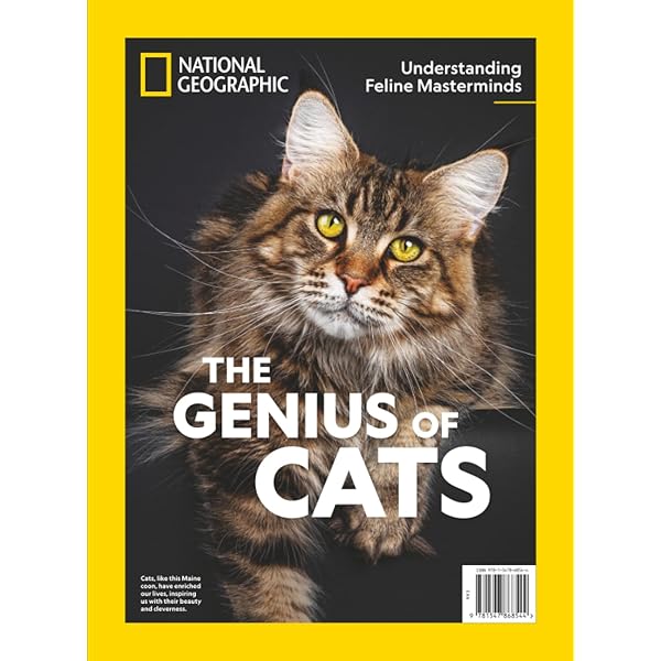 National Geographic Secret Life of Cats: The Editors of