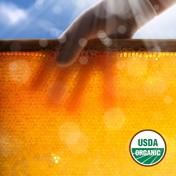 GLORYBEE, PREMIUM HONEY SYRUP, REAL HONEY, NO ARTIFICAL COLORS OR FLAVORS, 25.4 FL OZ