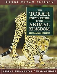 Dark Mirror: The Medieval Origins of Anti-Jewish Iconography