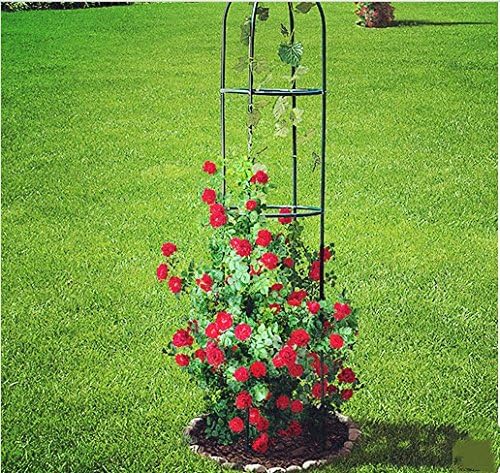 Qulista Jardín Rank Ayuda Obelisco Pepino Torre 192 cm Alto Metal ...