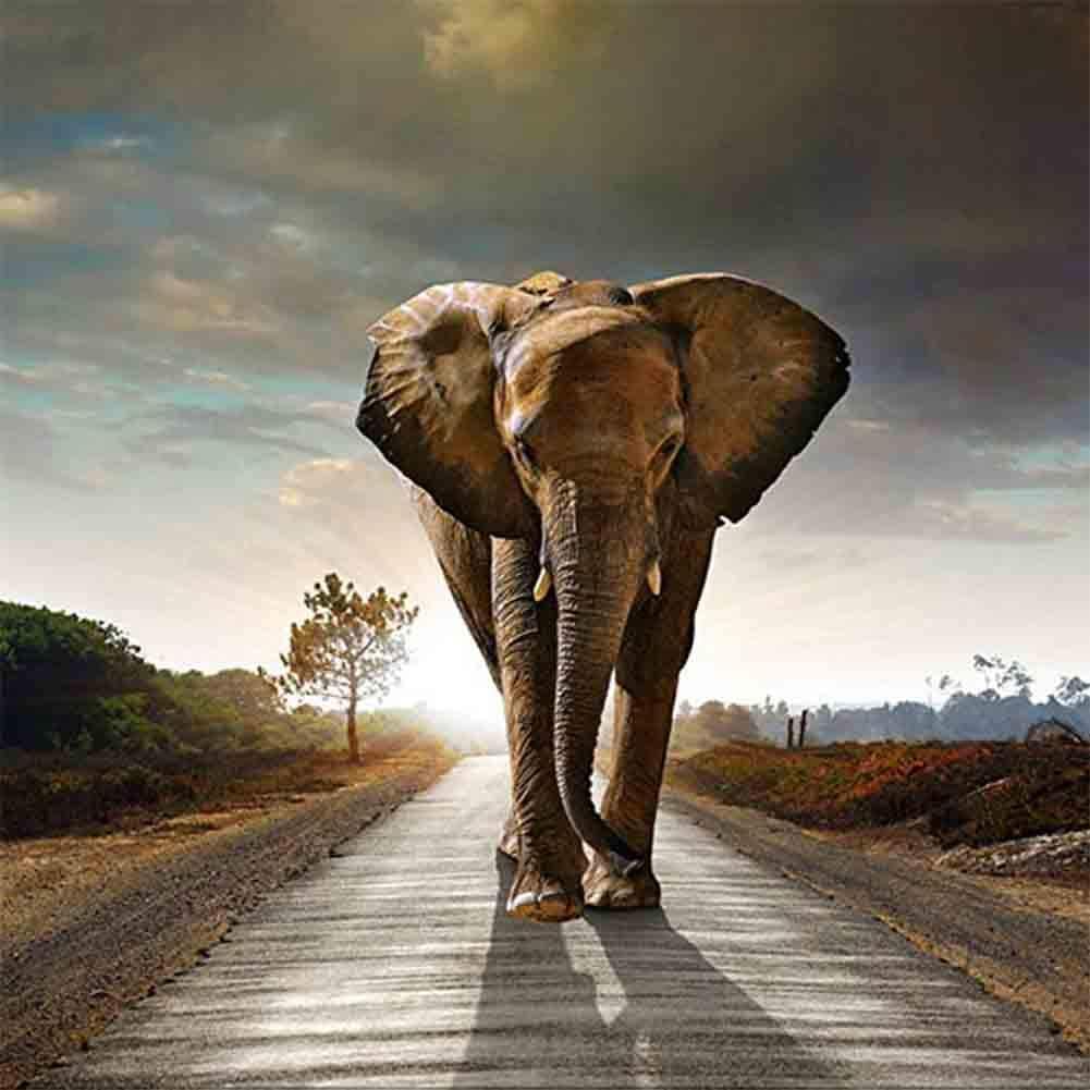 Avton DIY Diamond 5D Embroidery Paintings Rhinestone Pasted Walking Elephant Painting Cross Stitch(12X12 in/30X30 cm)