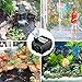 Maxesla Submersible Pump 80 GPH (300L/H) Fountain Water Pump For Pond/Aquarium/Fish Tank/Statuary/Hydroponics with 5.9ft (1.8M) Power Cord