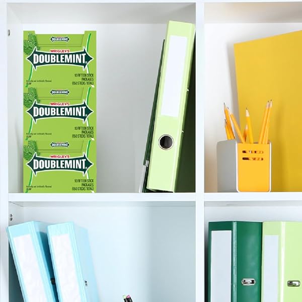 WRIGLEY’S DOUBLEMINT MINT GUM CHEWING GUM BULK PACK, 15 STICK (PACK OF 10)