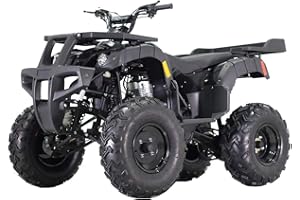 SMARTDEALSNOW Tao Motors Rhino 250cc ATV Youth Adult ATV Quad Four Wheeler Rhino250 Utility ATV Full Size with Reverse and Manual Clutch 4 Speed (Black Color)