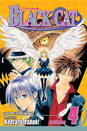 Amazon.com: Black Cat, Vol. 1: 9781421506050: Yabuki, Kentaro: Books