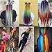 Rainbow Kanekalon Braiding Hair 3pcs Ombre Jumbo Braiding Extension High Temperature Rainbow Color Jumbo Hair (3pcs, Rainbow)