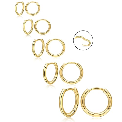 NEVEGE Gold Hoop Earrings Small Gold Hoops Earrings for Women 14K Gold Plated Earrings Hypoallergenic Huggie Small Hoop Earrings Lightweight Cartilage Earring for Women Girls 6/8/10/12/14mm