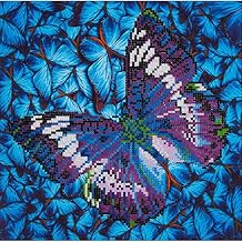 Amazon.ca: diamond dotz