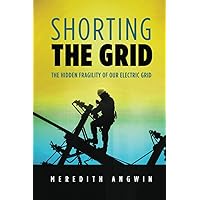 Shorting the Grid: The Hidden Fragility of Our Electric Grid