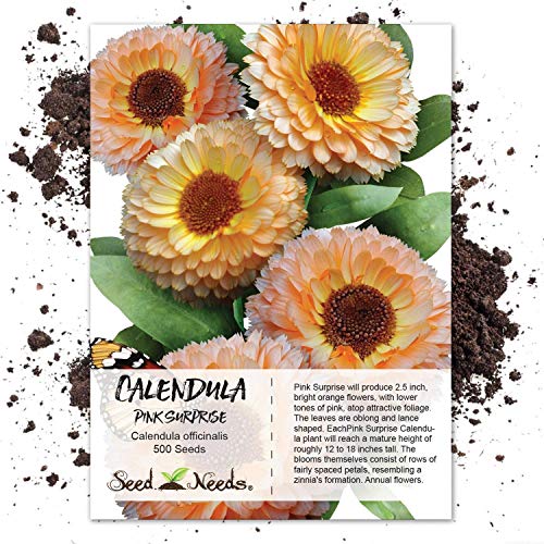 Package of 500 Flower Seeds, Pink Surprise Calendula (Calendula