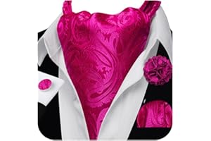 Ailisus Cravat Tie and Lapel Pin Set Mens Solid Color Paisley Ascot Silk Handkerchief Cufflinks Wedding
