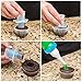 Cupcake Decorating Kit for Beginners - FREE Cupcakes Icing Supplies: Cupcake Corer, 200 Baking Cup Liners & Ebook, 5 Tip Dessert & Cake Decorator Tool Needs No Frosting/Pastry Bags - For Deviled Eggs