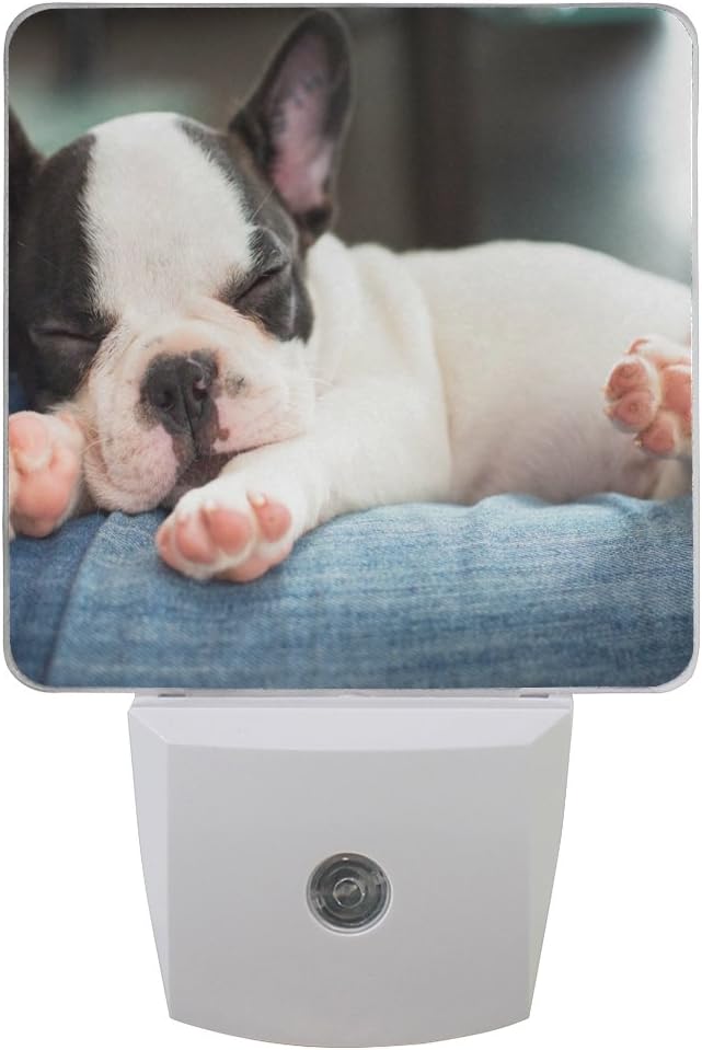JOYPRINT Led Night Light French Bulldog Cute Animal, Auto Senor Dusk to Dawn Night Light Plug in for Kids Baby Girls Boys Adults Room