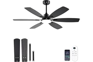 Ayaoty Ceiling Fans with Lights, 52 Inch Ceiling Fan with Light and Remote, 3CCT Dimmable, 6 Speed Reversible DC Motor,6 Blades Modern Black Ceiling Fan for Bedroom, Indoor/Outdoor Use