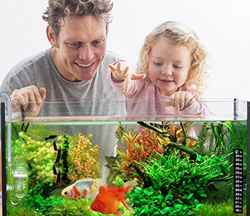 Fashionclubs Easy Read Aquarium Fish Tank Temperature Thermometer Sticker Pack of 10,Just Peel And Stick