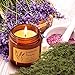 TOFU Scented Candles Gifts for Women, Vintage Jar Soy Candles – Natural Organic Soy Wax Candles for Aromatherapy, Stress Relief, Relaxation, Women & Men (3 Pack)thumb 2