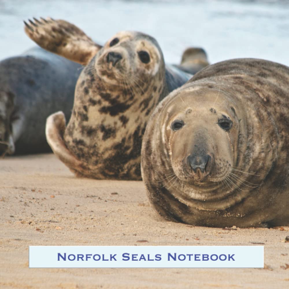 Norfolk Seals Square Notebook 8.5 x 8.5 inches
