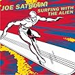 Surfing with the Alien