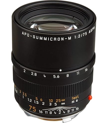Amazon.com : Leica 50mm f/2.0 Summicron M Manual Focus Lens