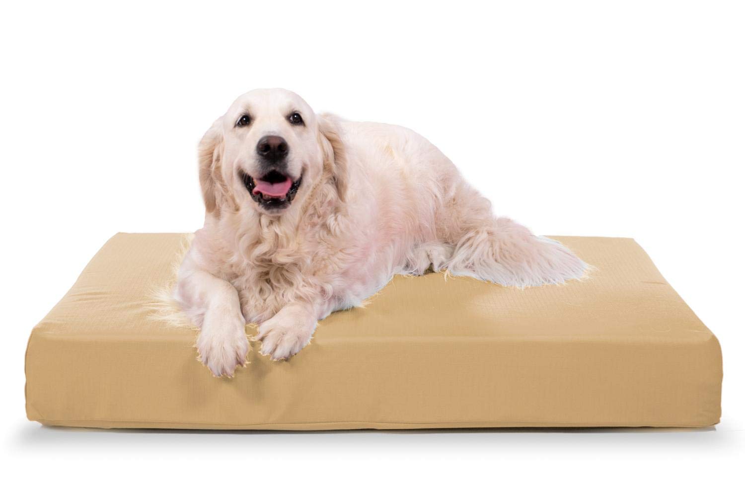 indestructible dog bed pets at home