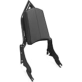 SWESGI Adjustable Short Sissy Bar for Harley 2009-Later Touring Quick Release