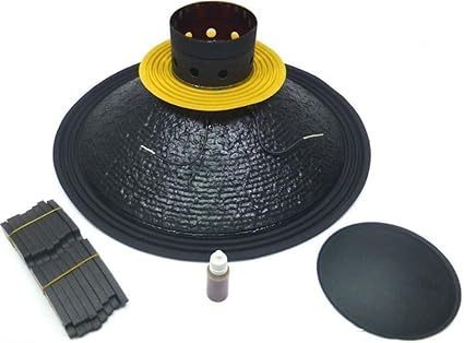 woofer recone kit