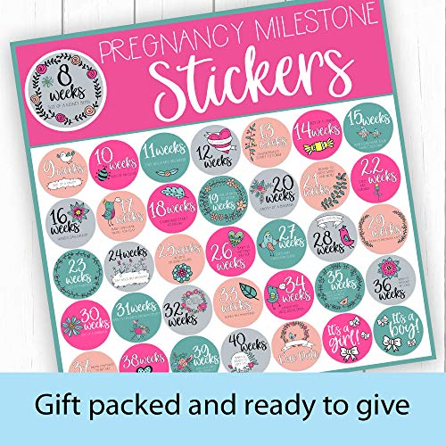 Pregnancy Weekly Stickers, Belly Stickers, Baby Bump Stickers ...