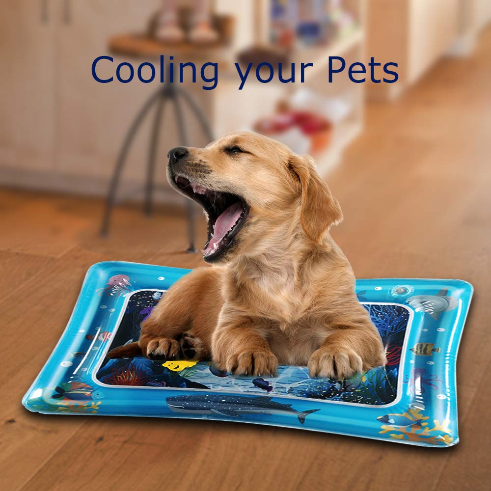 LAPPAZO Water Play Mat Inflatable Tummy Time Play Active Center for Baby\'s Stimulation Growth or Cooling the Pets