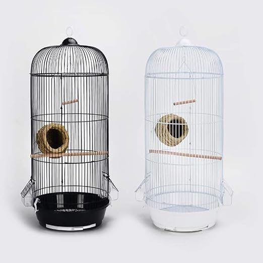 large hanging bird cage