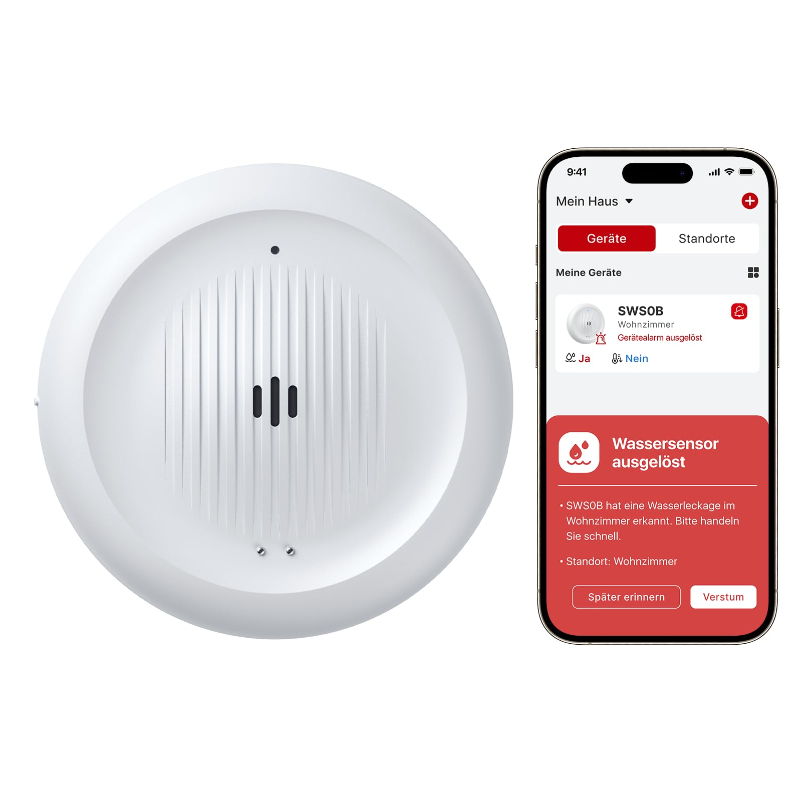 X-Sense 2-in-1 WLAN-Wassermelder mit Frostwarnung, Tieftemperatur-Melder, Smarter Sensor mit App-Benachrichtigungen, für Küche, Bad und Keller, kompatibel mit der X-SENSE Home Security App, SWS0B