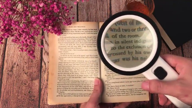 6 Magnifying+Magnifier+Magnifiers+Inspection+Degeneration