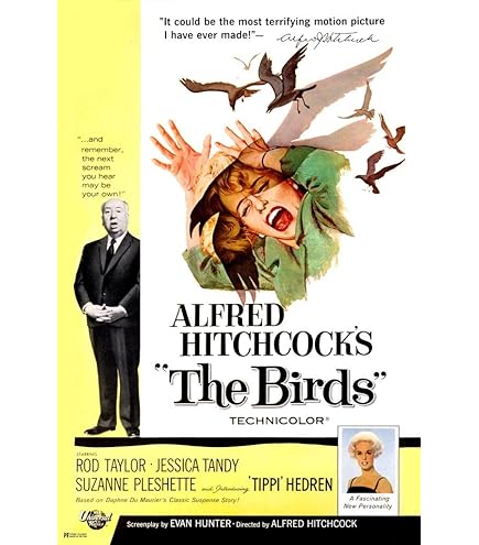 Amazon.com: Alfred E. Neuman: Posters & Prints