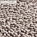 Vdomus Soft Plush Microfiber Bathroom Rug Extra Absorbent Bath Mat - Non-Slip Shaggy Floor Mat - Machine-Washable Bath Runner - Ideal for Shower and Bath (Beige, 32'' x 20'')
