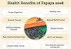 thumbnail interactive-video image 1 of Papaya Caribbean Sunrise Tropical Fruit Seeds – 30 Fresh Seeds For Growing Your Own Papaya 1 of 3