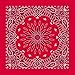 Red Circular Burst Paisley Bandana - Single Piece 22x22